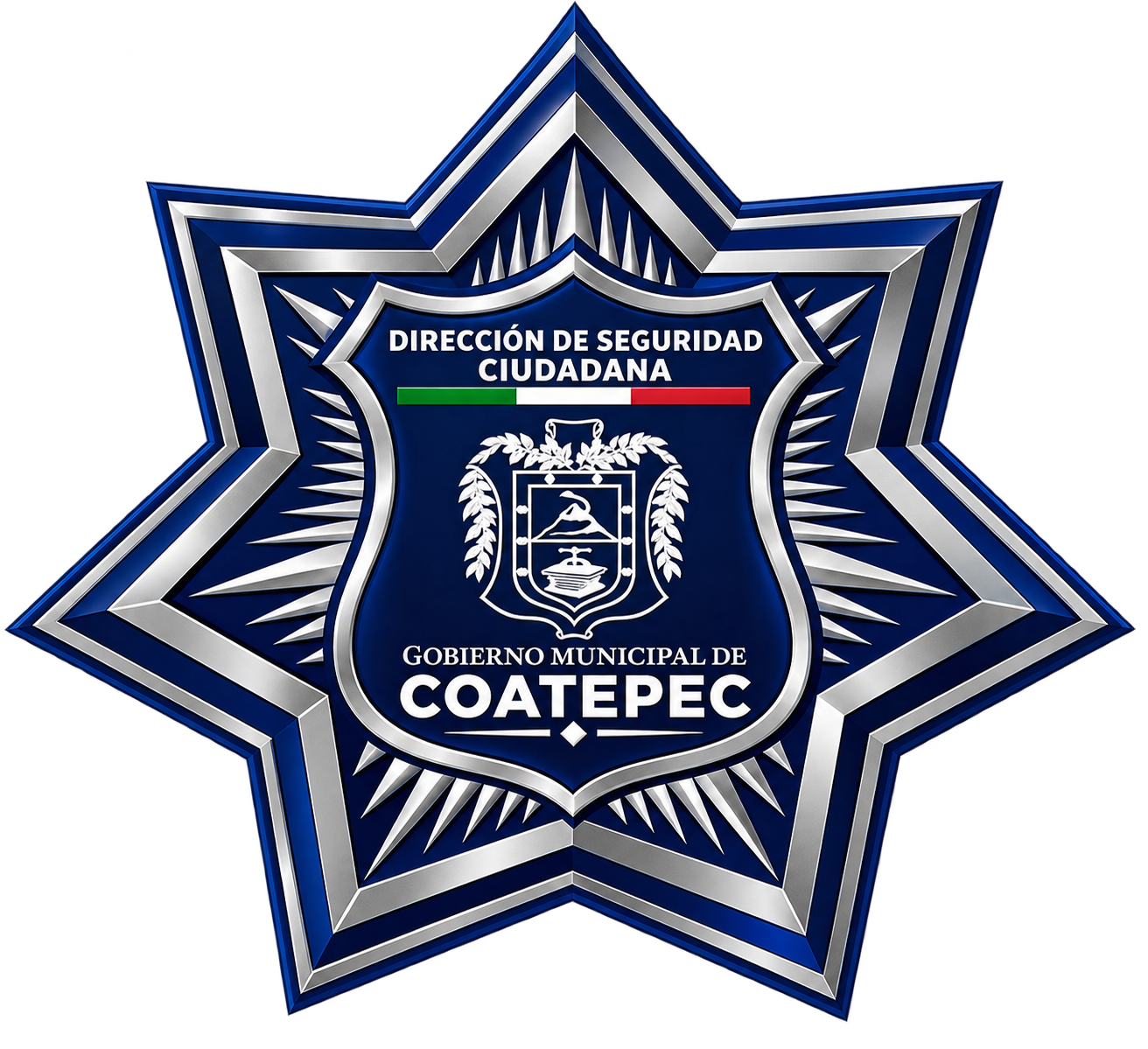 Escudo Dirección de Seguridad Ciudadana