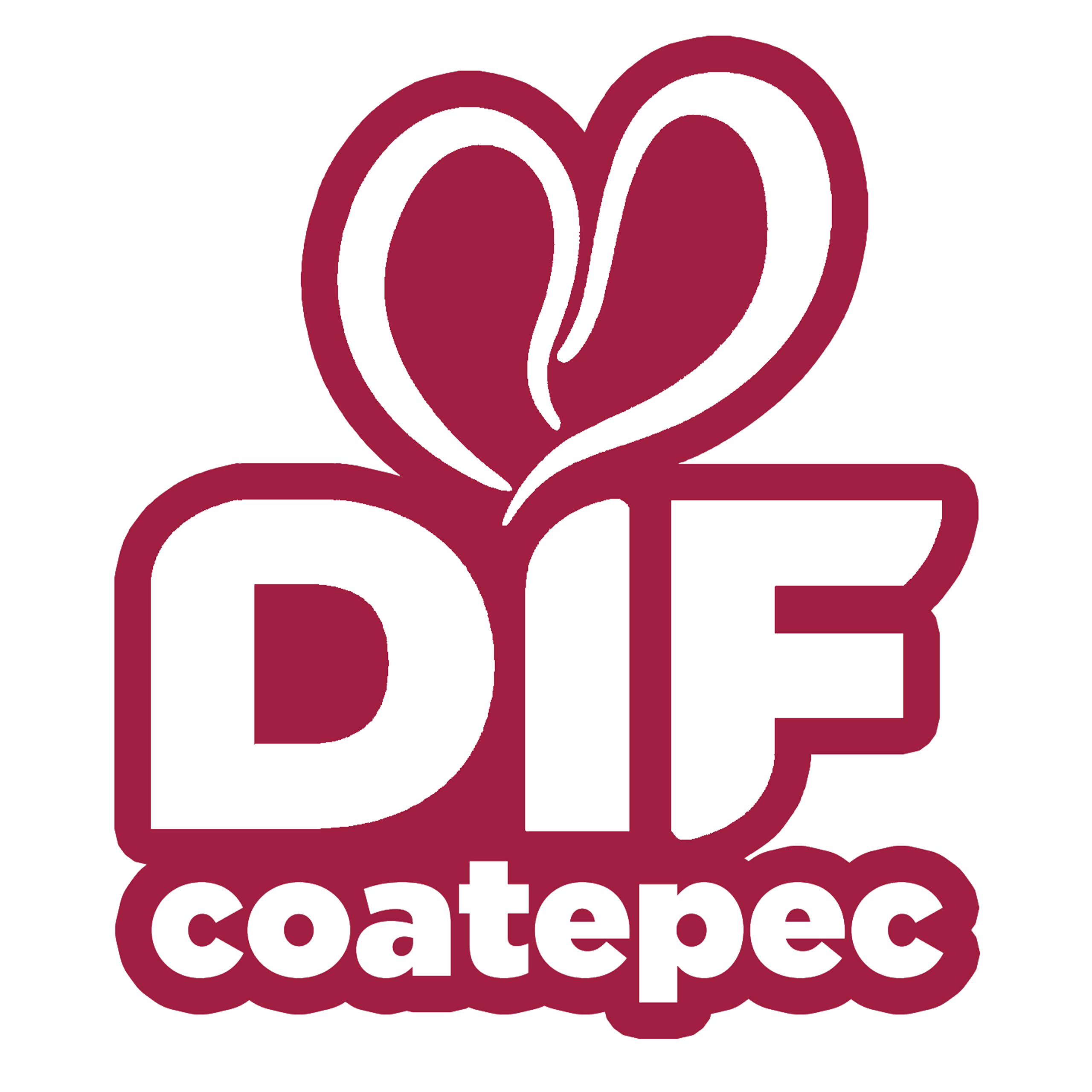 DIF Coatepec